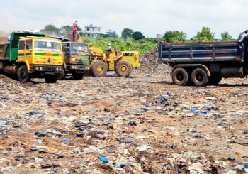 Destruction de dépotoirs sauvages