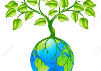 CISE AFRIQUE SARL : UN ACTEUR ENGAGÉ DANS LA GESTION DURABLE DES DECHETS AU BENIN