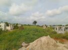 RECONNAISSANCE DE SITES DES CIMETIERES DE OUIDAH